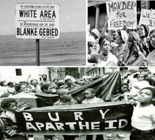 Апартейд в Южна Африка: Произход и значение