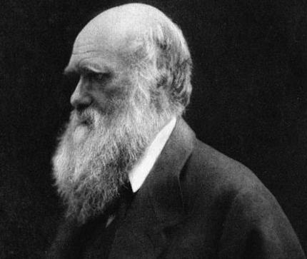 12 вещей, которые нужно знать о жизни и революционной теории Чарльза Дарвина
