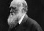 12 неща, които трябва да знаете за живота и революционната теория на Чарлз Дарвин
