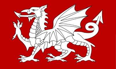 знаме на бял дракон