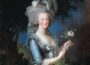 玛丽·安托瓦内特：法国女王的一生和惨遭处决