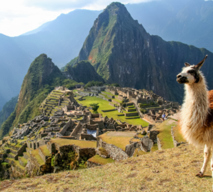 Machu Picchu Inca