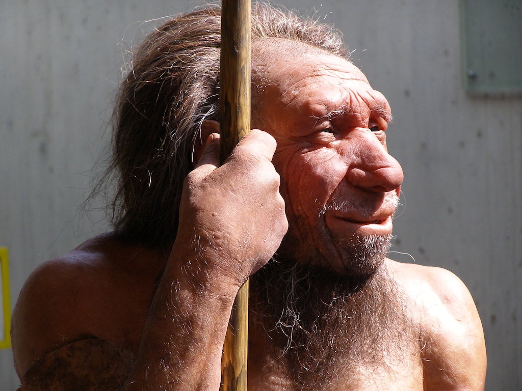 A clonagem de espécies extintas, como o Neandertal, é possível, mas é altamente improvável que seja aprovada.
