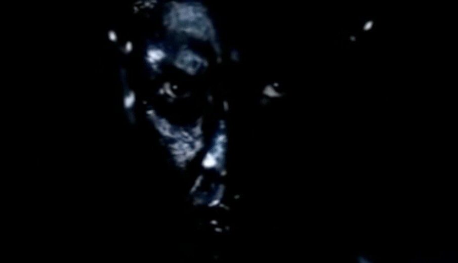 فيديو ثابت من أورانغ مينياك 2007.