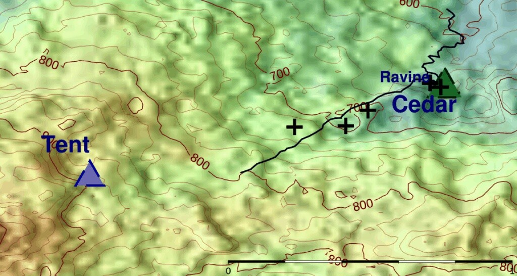 Карта на инцидента, показваща палатката и кедровото дърво.