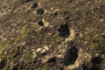 Pegadas humanas pré-históricas Trilha A em Foresta, Roccamonfina.