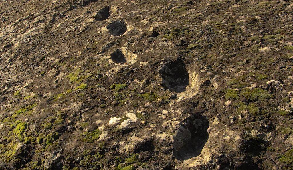 Отпечатъци от стъпки на праисторически хора Пътека А във Фореста, Рокамонфина. 