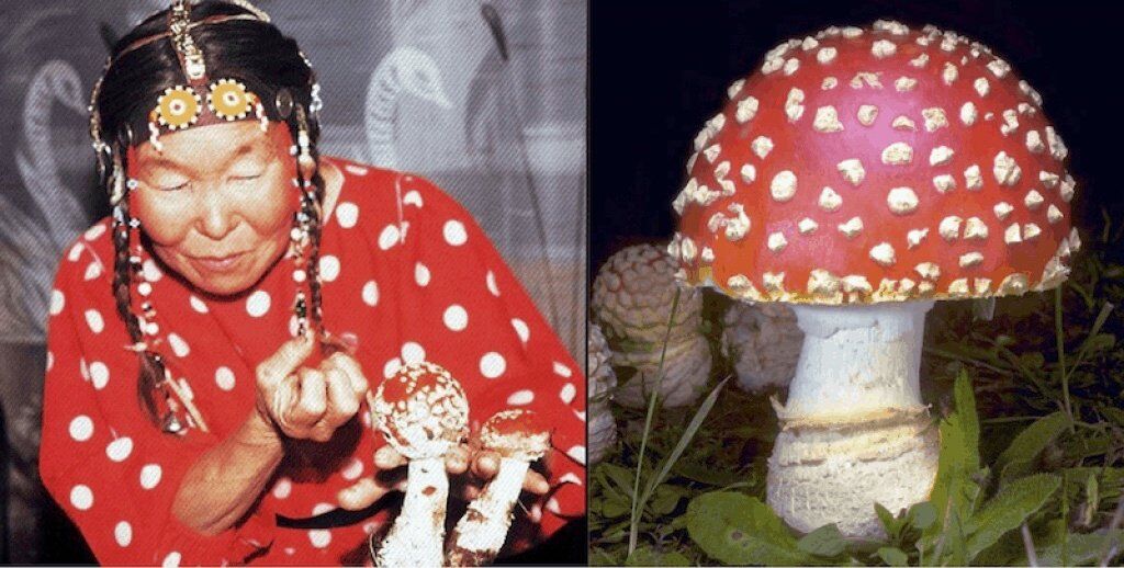 西伯利亚萨满伪装并拿着毒蝇伞蘑菇。
