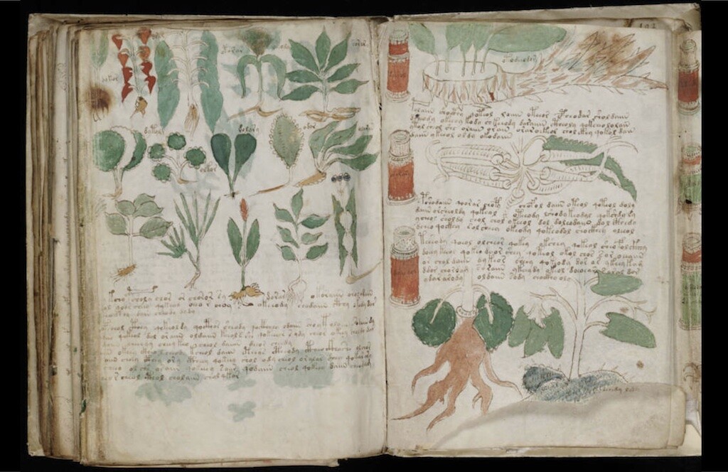 El Manuscrito Voynich es un misterioso manual que contiene textos no descifrados e ilustraciones de plantas y mujeres.