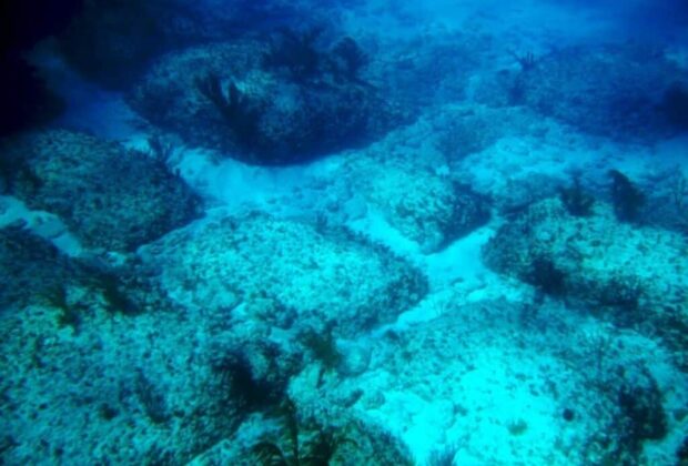 Bimini Road: Could this be the discovery of Atlantis Cayce predicted?